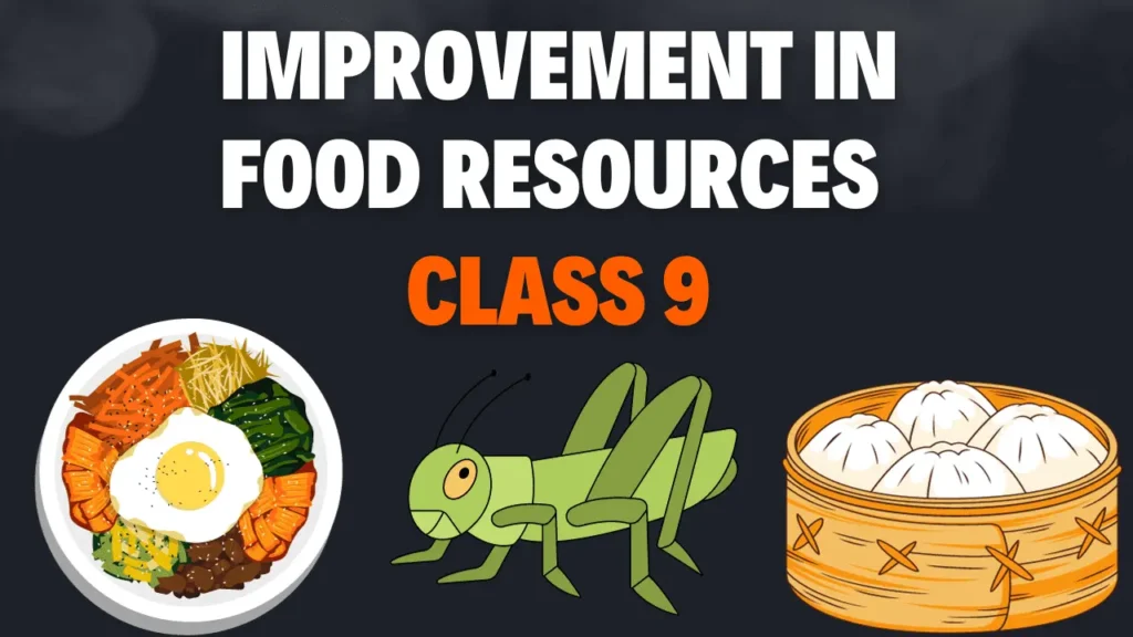 Improvement in Food Resources Notes