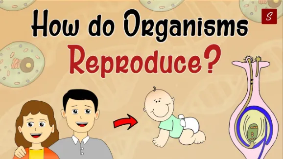 How Do Organisms Reproduce