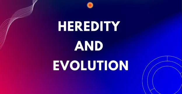 Heredity