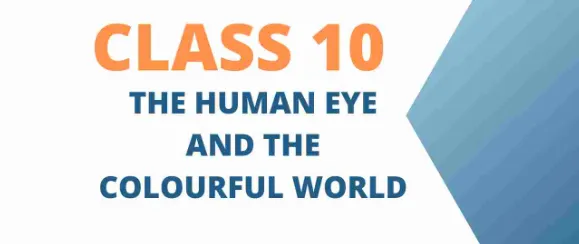 The Human Eye and the Colourful World