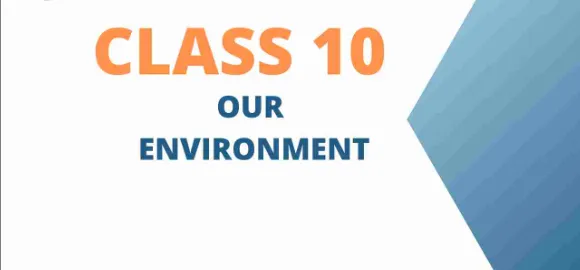 Our Environment