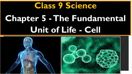 The Fundamental Unit of Life Notes